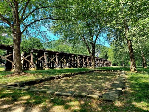 A scenic view of a park with trees and a wooden bridge in the background under a clear blue sky.