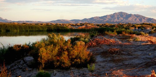 A serene landscape featuring a calm water body, lush vegetation, and distant mountains under a clear sky.