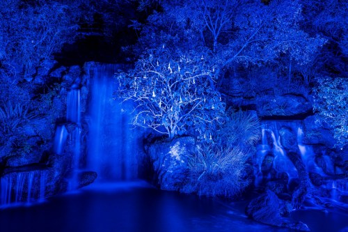 A serene waterfall illuminated in blue light, surrounded by lush greenery and a tree with glowing decorations.