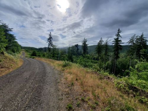 A winding gravel road through a lush green forest under a cloudy sky, with distant hills visible.