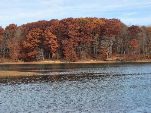 A serene lake surrounded by trees with vibrant autumn foliage in shades of orange and red.