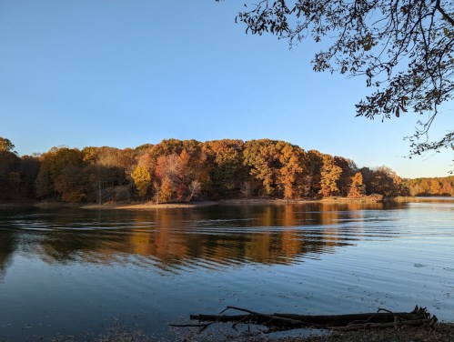 A serene lake surrounded by trees in autumn colors, reflecting the clear blue sky and gentle ripples on the water.