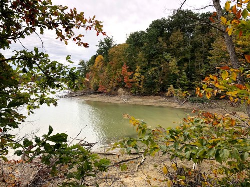 A serene lakeside view with autumn foliage and a calm, greenish water surface.