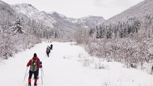 A group of hikers trekking through a snowy landscape, surrounded by mountains and evergreen trees.