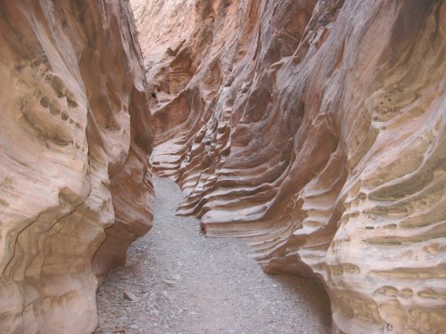 Narrow canyon with smooth, layered rock walls and a gravel path winding through the center.