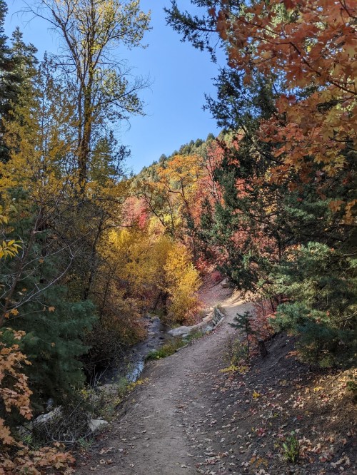 A scenic trail surrounded by vibrant autumn foliage and a small stream, under a clear blue sky.