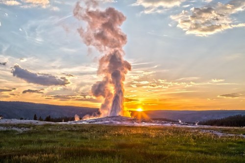 A geyser erupts against a sunset sky, with clouds and a grassy foreground in Yellowstone National Park.