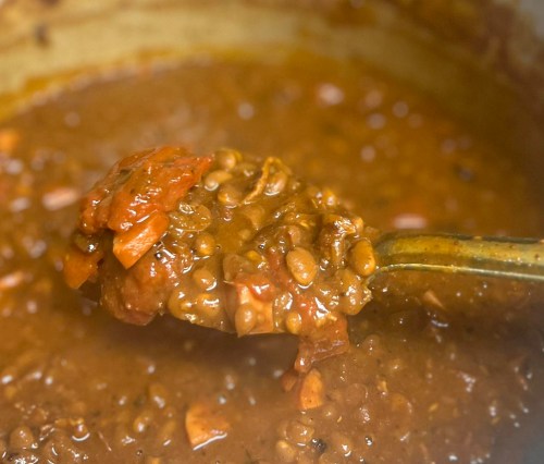 A close-up of a spoonful of thick, brown lentil stew with chunks of vegetables.