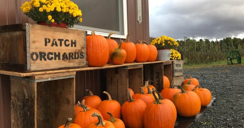 A display of bright orange pumpkins and yellow flowers in wooden crates outside a rustic building.