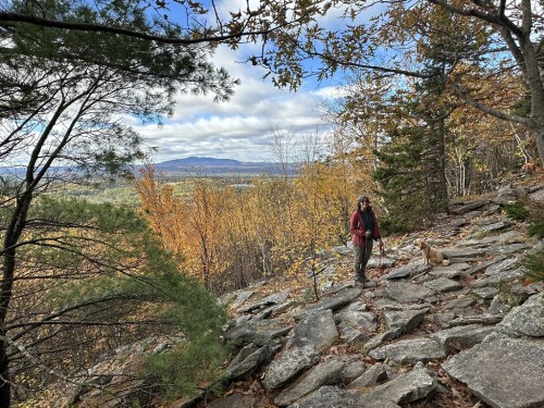 A hiker with a dog walks along a rocky trail surrounded by autumn foliage and distant mountains.