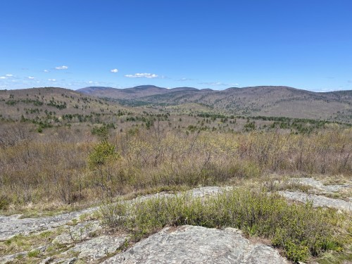 A panoramic view of rolling hills and mountains under a clear blue sky, with sparse trees and rocky foreground.