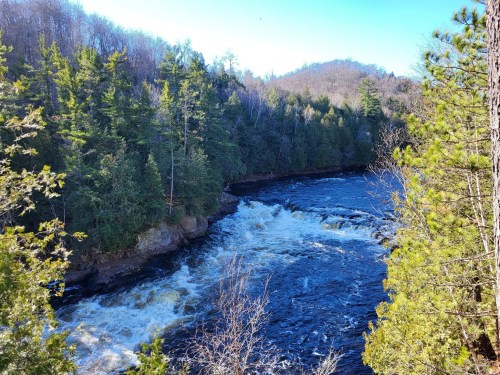 A scenic view of a river with rapids, surrounded by lush green trees and hills under a clear blue sky.