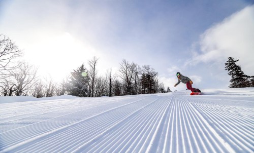 A snowboarder glides down a snowy slope under a bright sky, surrounded by trees.