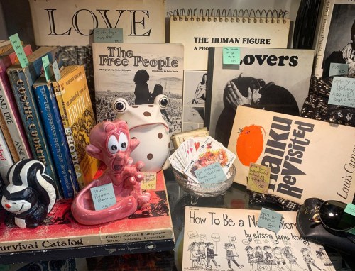 A cluttered display of books and quirky figurines, including a frog and a pink character, with sticky notes on some items.