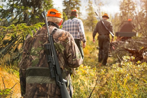 A group of hunters in camouflage and orange hats walking through a forested area with rifles.