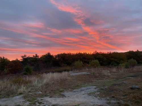 A vibrant sunset paints the sky in shades of pink and orange over a forested landscape with grassy foreground.