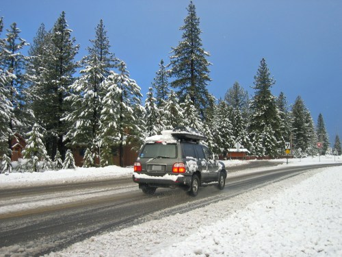 A car drives on a snowy road lined with tall evergreen trees under a clear blue sky.