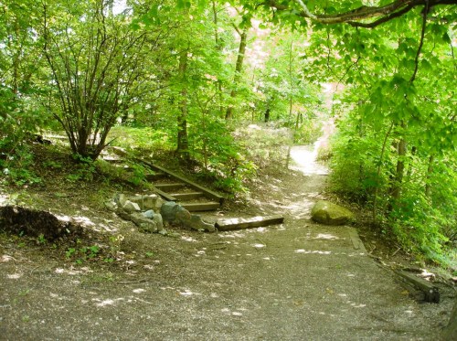 A serene forest path splits into two, surrounded by lush greenery and dappled sunlight filtering through the trees.