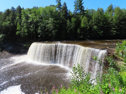 A cascading waterfall surrounded by lush green trees under a clear blue sky.