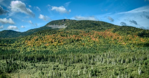 A panoramic view of a forested mountain landscape with vibrant autumn foliage under a blue sky with scattered clouds.