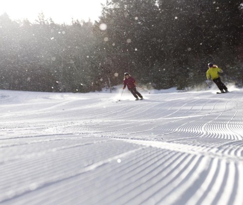 Two skiers glide down a snowy slope, surrounded by trees, with sunlight and snowflakes creating a magical atmosphere.