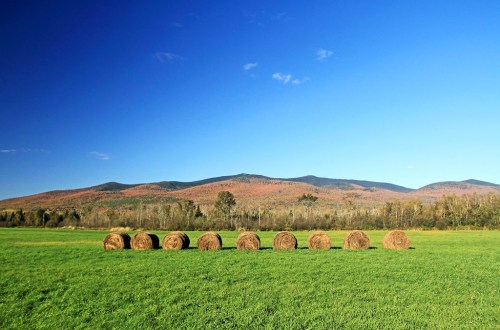 A vibrant green field with round hay bales, set against mountains with autumn foliage under a clear blue sky.