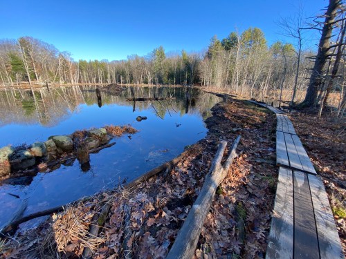 A serene pond surrounded by trees, with a wooden path along the shore and fallen leaves scattered on the ground.