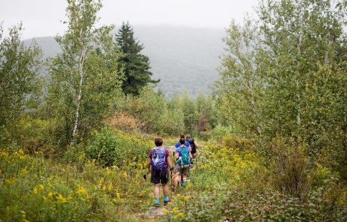 A group of hikers walking along a trail surrounded by lush greenery and wildflowers in a misty landscape.