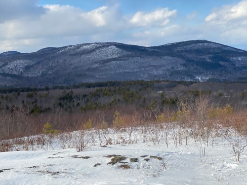 Snow-covered mountains under a partly cloudy sky, with sparse trees and brush in the foreground.