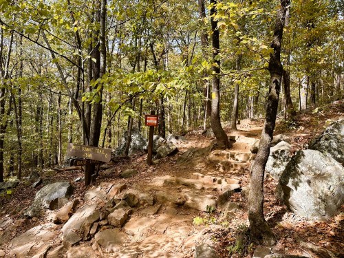 A rocky hiking trail winds through a forest, with signs for the West Summit Trail and Base Trail visible.