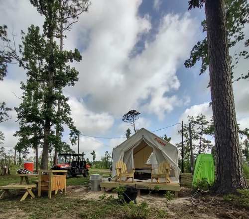 A glamping tent with wooden chairs, surrounded by trees and a cloudy sky, with a utility vehicle nearby.