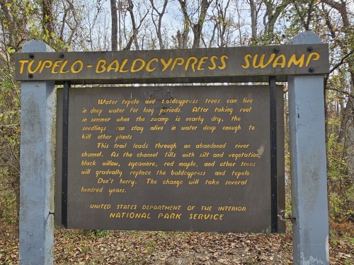 Sign for Tupelo-Baldcypress Swamp explaining the ecosystem and trail information, surrounded by trees in a natural setting.