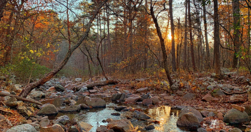 A serene forest scene with a stream, rocks, and autumn foliage, illuminated by the warm glow of a setting sun.
