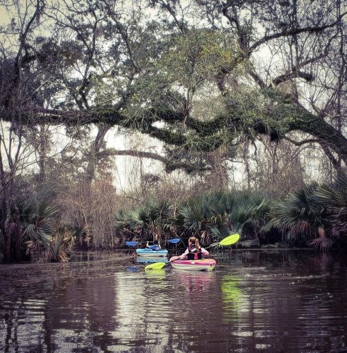 Two kayakers paddle through a serene, tree-lined waterway surrounded by lush greenery.