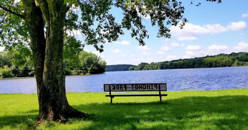 A peaceful lakeside scene with a bench under a tree, overlooking calm water and blue skies.