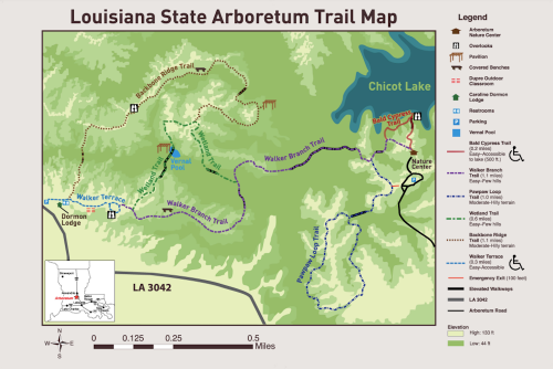 Map of Louisiana State Arboretum showing trails, landmarks, and elevation details. Key features include Chicot Lake and various trails.