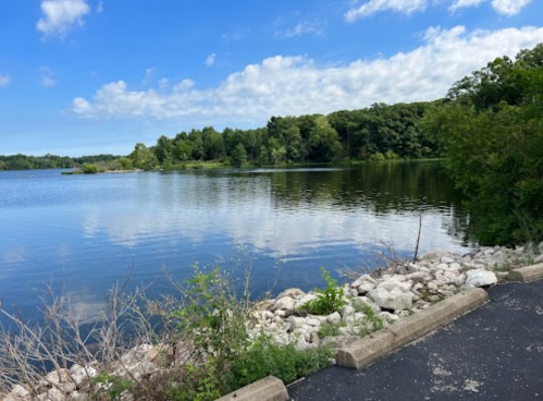 A serene lake surrounded by lush greenery under a blue sky with fluffy clouds, reflecting the landscape on the water.