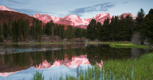 Serene lake reflecting snow-capped mountains and pine trees at sunset, with lush green grass in the foreground.
