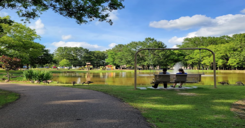 A serene park scene with two people sitting on a bench by a pond, surrounded by trees and geese.