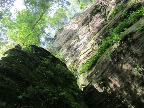 A view of towering rock formations covered in greenery, with sunlight filtering through the trees above.