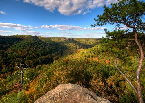 A scenic view of a lush green valley with colorful trees under a blue sky with fluffy clouds.