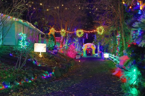 A festive pathway illuminated with colorful holiday lights, surrounded by trees and decorations, creating a magical atmosphere.