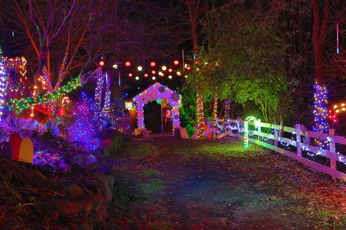 A colorful pathway adorned with vibrant holiday lights, leading through a festive garden at night.