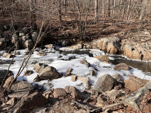 A frozen stream flows over rocks in a wooded area, surrounded by bare trees and fallen leaves.