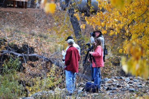 Three photographers stand by a rocky riverbank, surrounded by autumn foliage, capturing the scenic landscape.