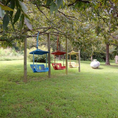 Colorful swings hang from a wooden frame in a grassy yard, surrounded by trees and a peaceful outdoor setting.