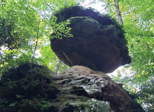 A large, mushroom-shaped rock formation surrounded by lush green trees and foliage.