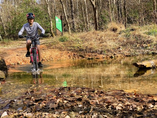 A boy rides a bike through a shallow stream on a dirt trail surrounded by trees and fallen leaves.