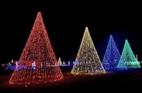 Colorful illuminated Christmas trees in red, yellow, and blue against a dark night sky.