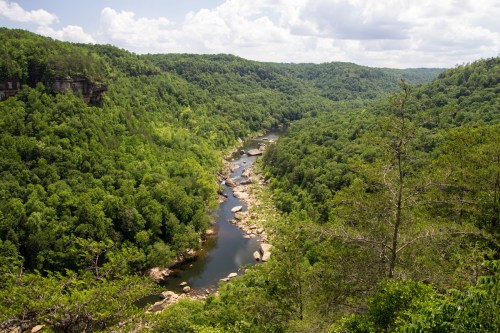 A lush green valley with a winding river and rocky banks, under a bright blue sky with fluffy clouds.